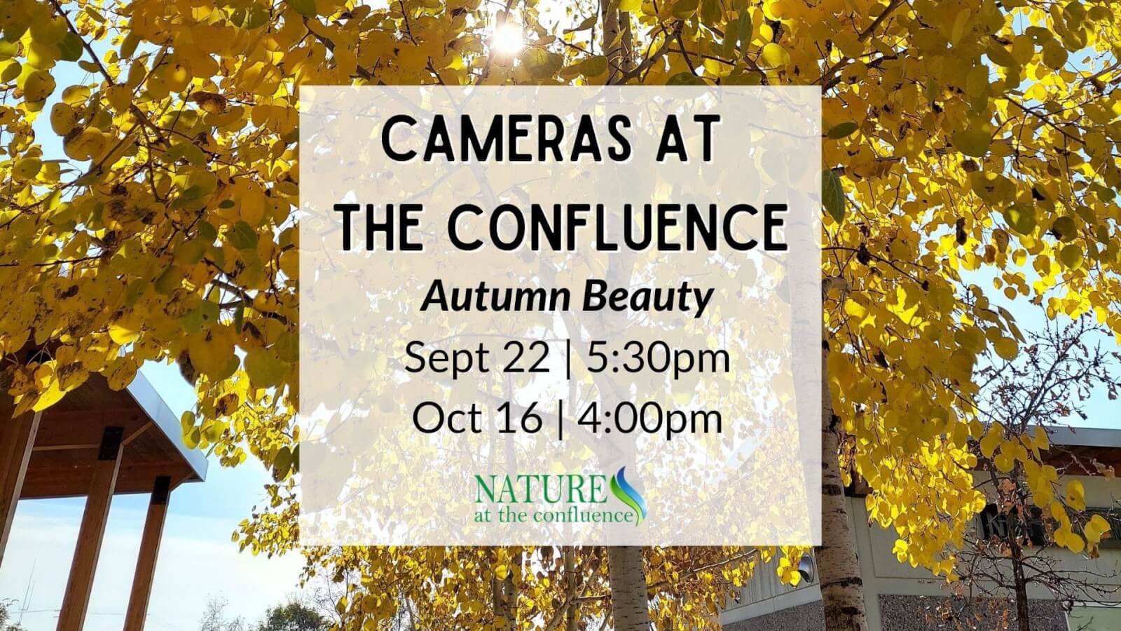 Cameras At The Confluence Autumn Beauty Banner