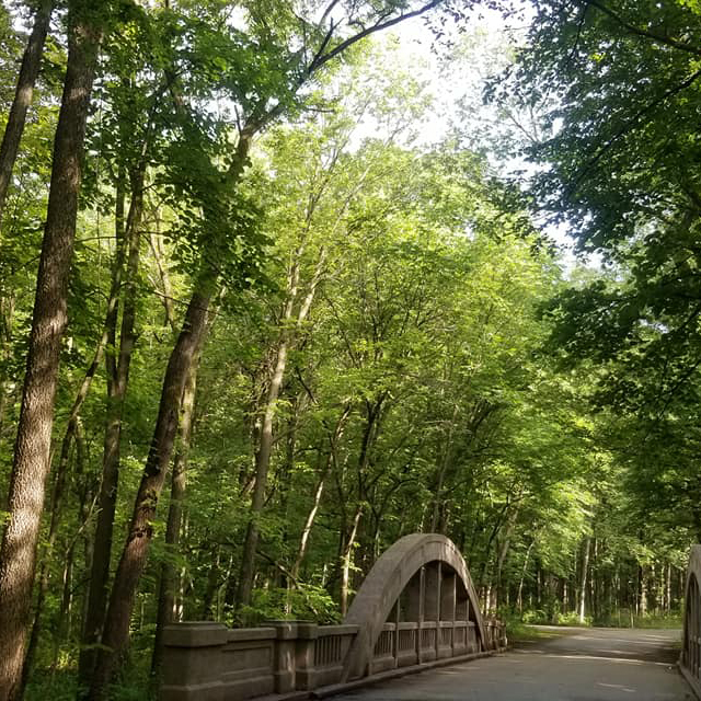 Hononegah Forest Preserve