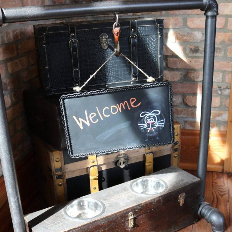 Dog Friendly Hotels in Beloit WI Dog Friendly Beloit