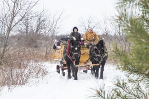 Visit Beloit in January to Ring in the New Year