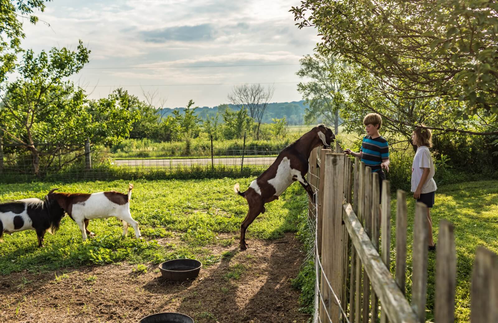 Kids at Double B Farm