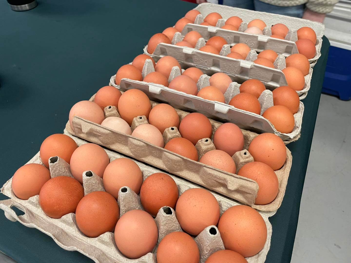 Winter Crafter & Farmers' Market Winter Crafter & Farmers' Market