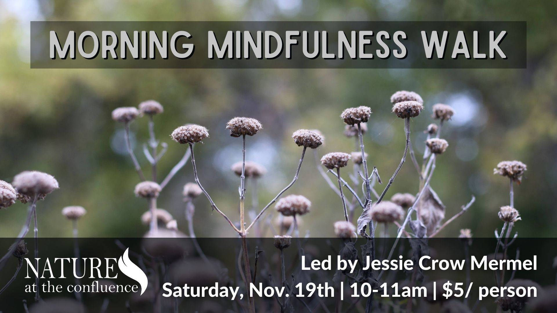 Morning Mindfulness Walk Banner