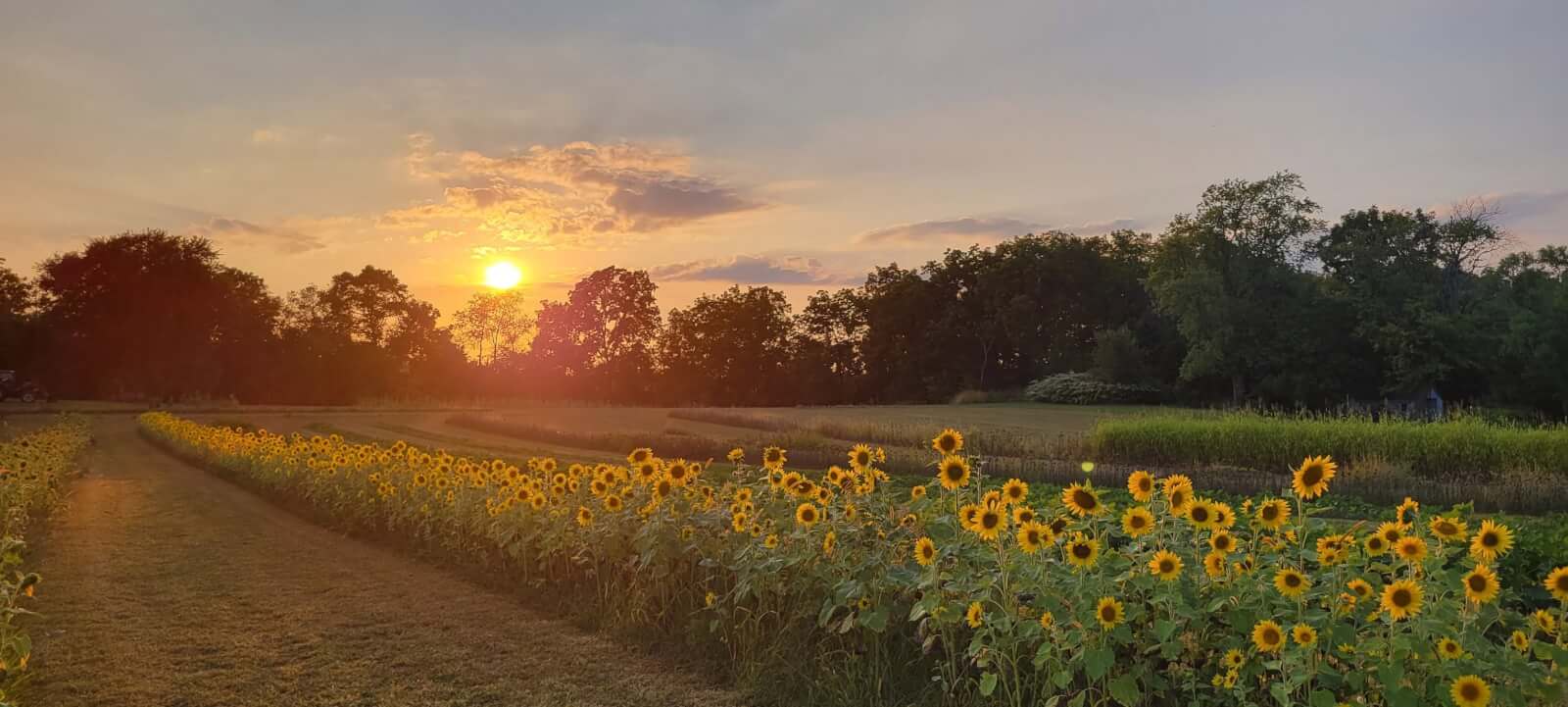 8 Sweater Weather Selfie Spots in the Stateline Area