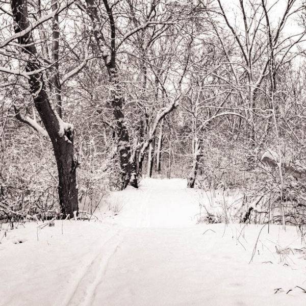 hitting a trail is one of the things to do in winter in beloit