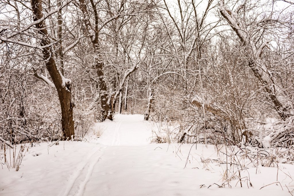 Top Things to Do in Winter in Beloit